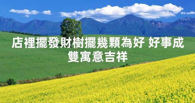 店裡擺發財樹擺幾顆為好 好事成雙寓意吉祥